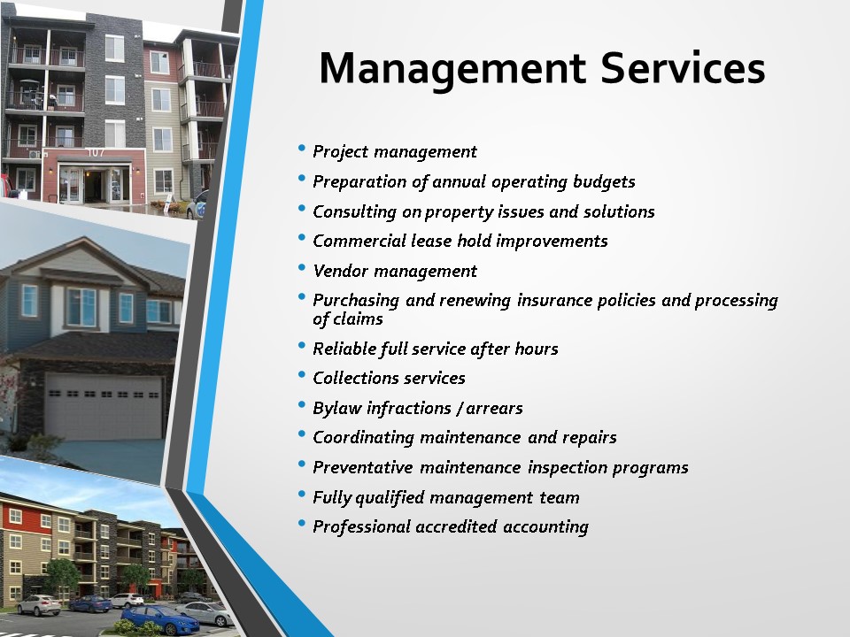 11Mgmt services